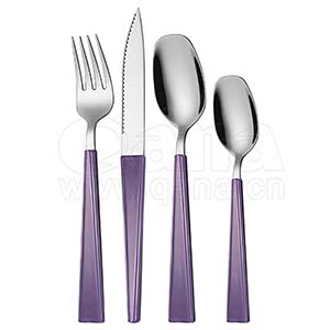  Elegent plastic cutlery